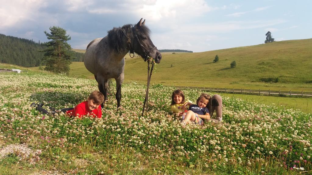 Pensiunea Catalina Moldova Sulita Esterno foto