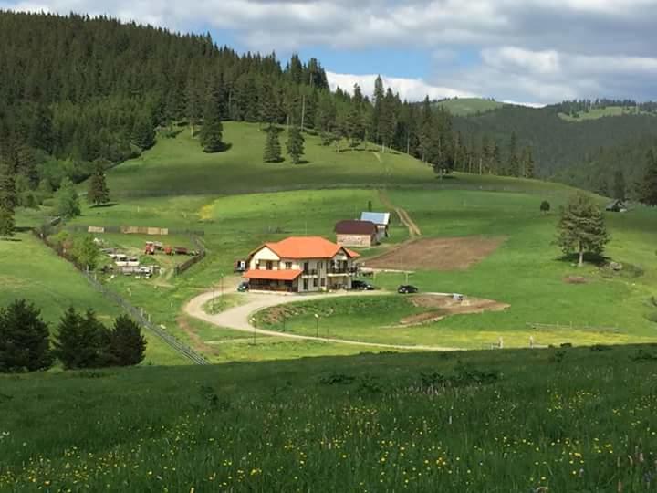 Pensiunea Catalina Moldova Sulita Esterno foto