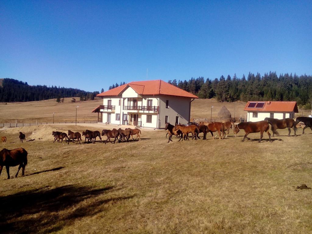 Pensiunea Catalina Moldova Sulita Esterno foto